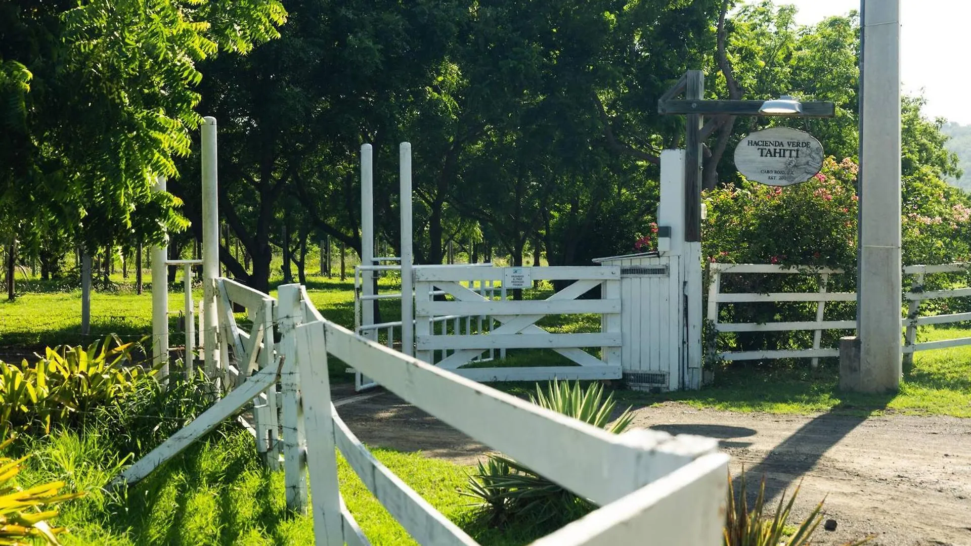 Villa Pitahaya Retreat - Cozy Glamping Escape à Cabo Rojo Hébergement de vacances